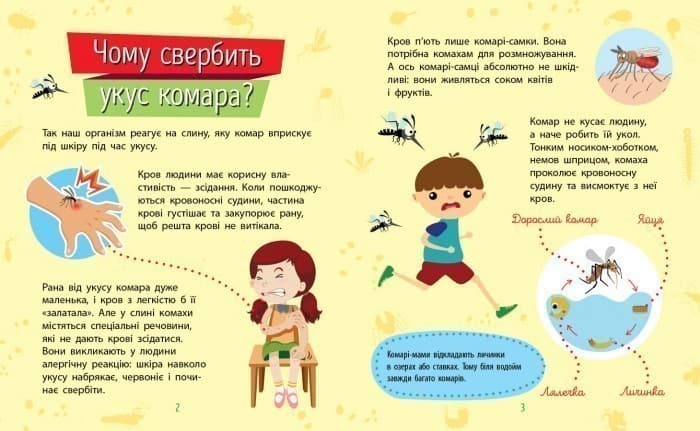 Комахи, фото - 2