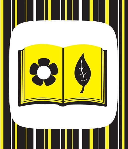 Ку-ку-сі, фото - 2