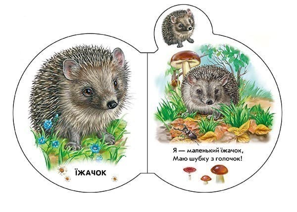 У лісі, фото - 3