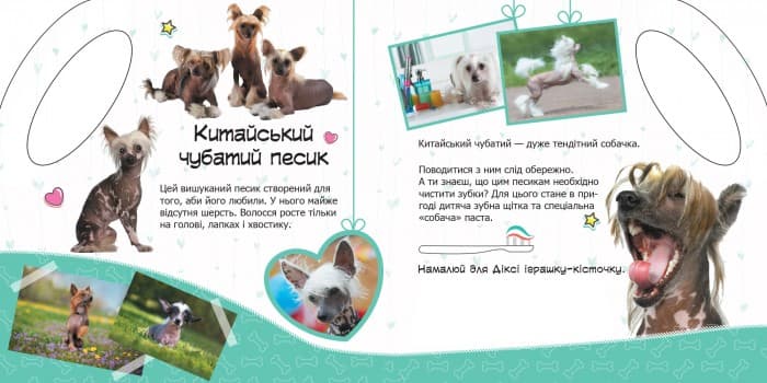 Песики, фото - 2