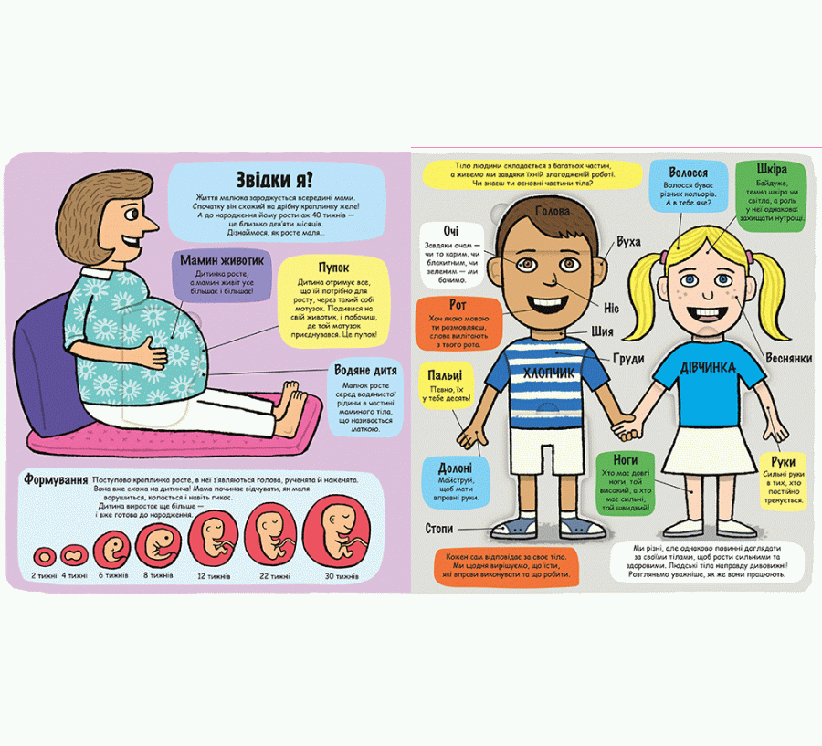 Маленькі дослідники: Моє дивовижне тіло, фото - 2