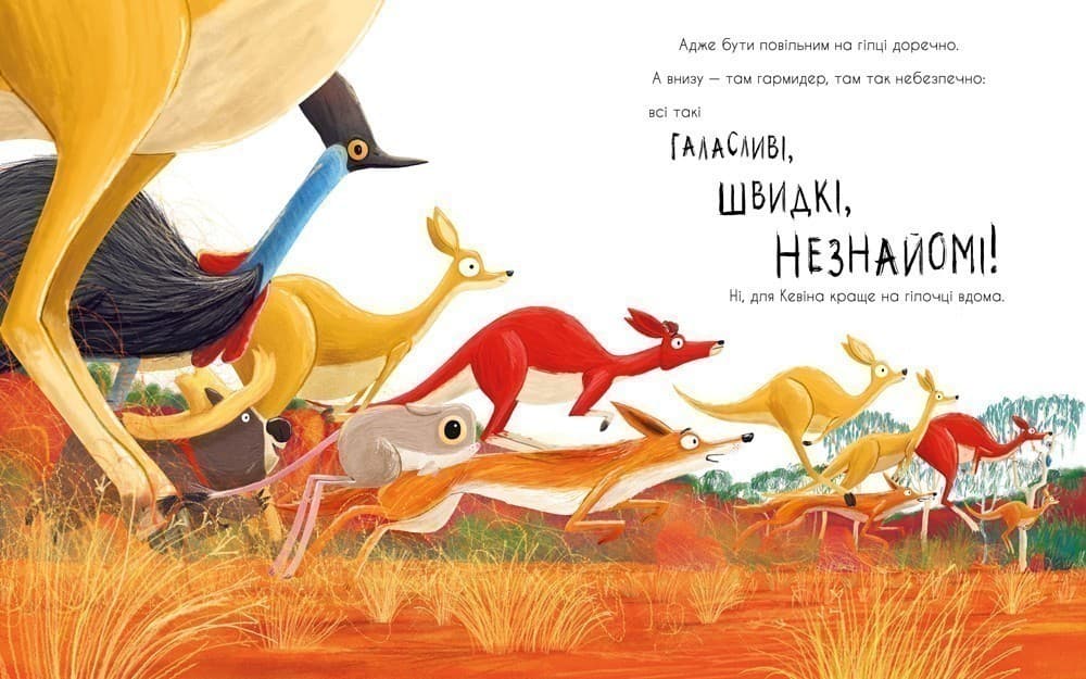 Як коалу гуляти викликали, фото - 3