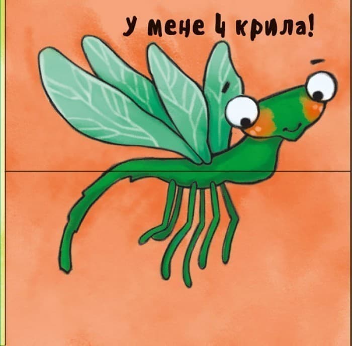 Полічи-но!, фото - 3