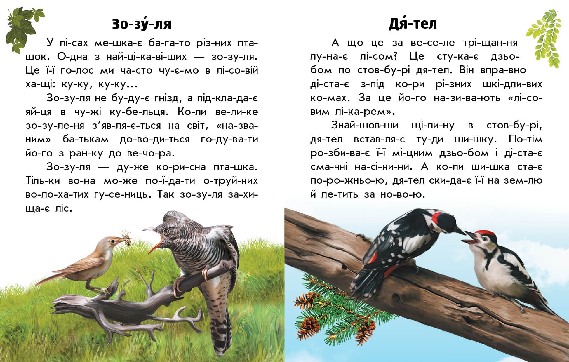 Тварини лісів, фото - 3