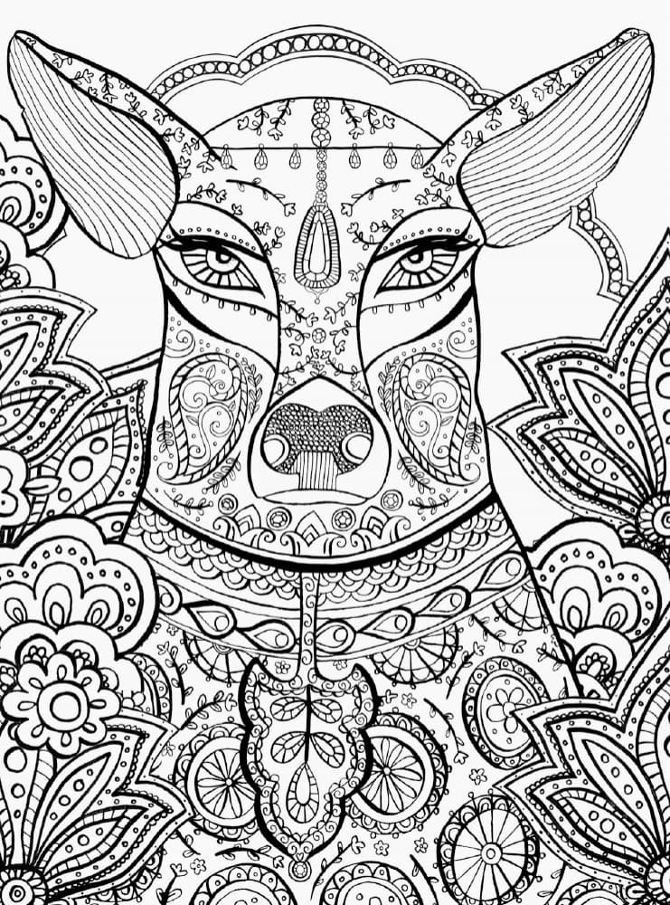 Книга джунглів, фото - 3