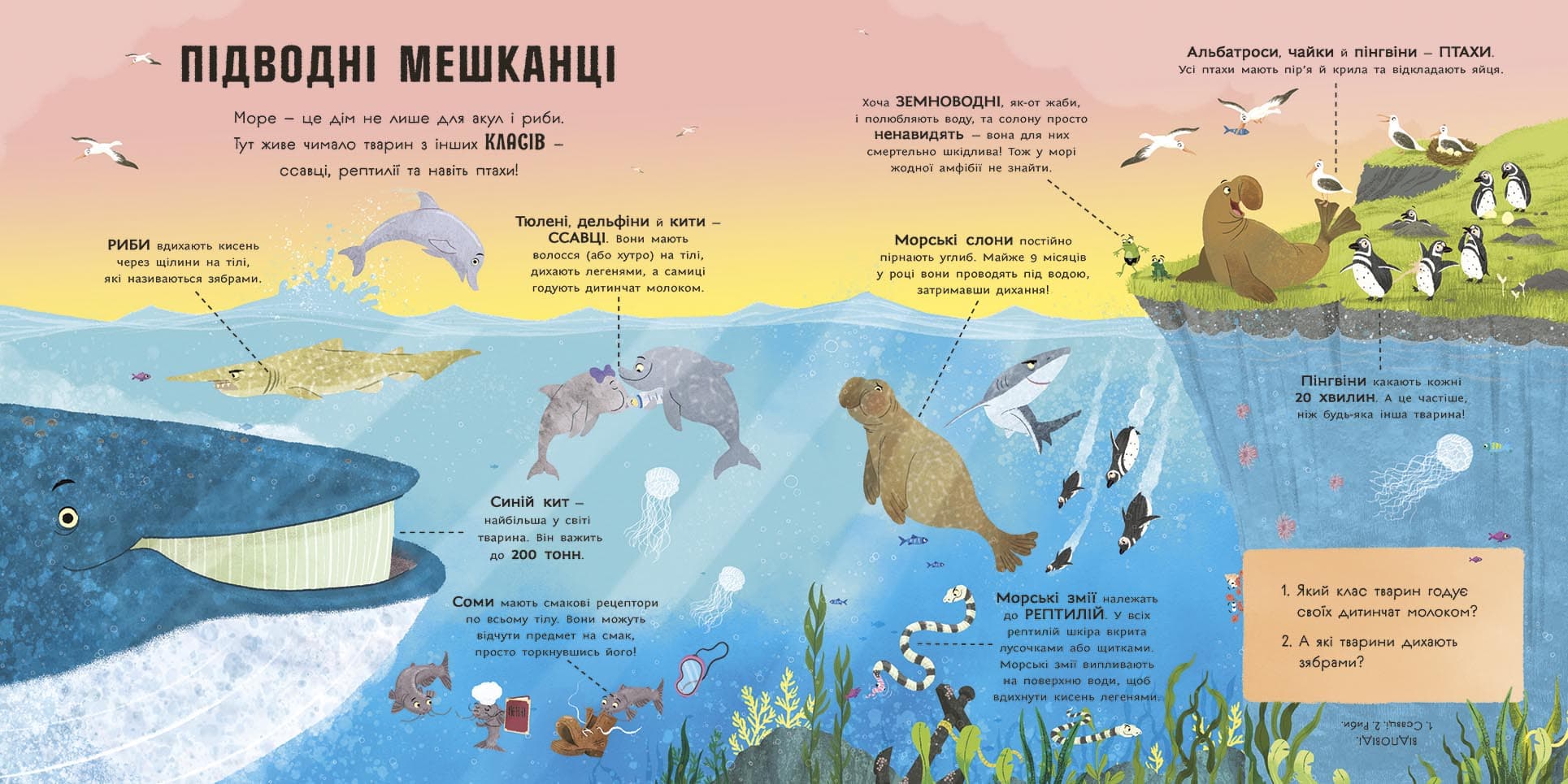 Акули люблять науку, фото - 3