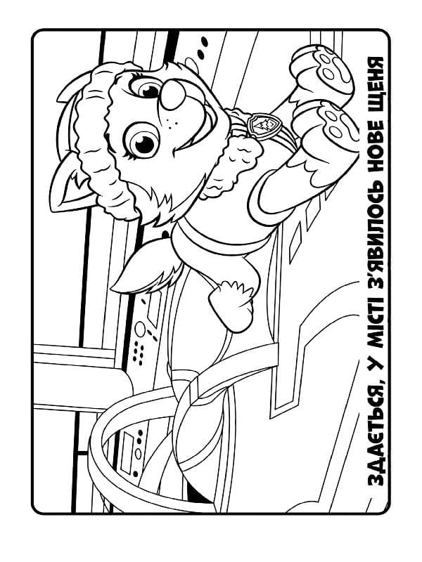 ЩП. Кольорові пригоди. Ловіть хвилю, щенята!, фото - 3