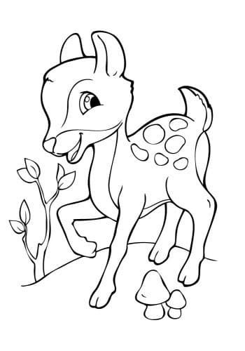 Тваринки, фото - 3