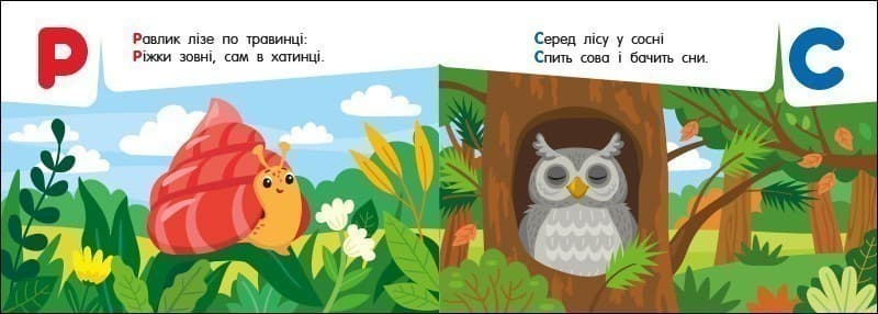 Абетка в лісі, фото - 3