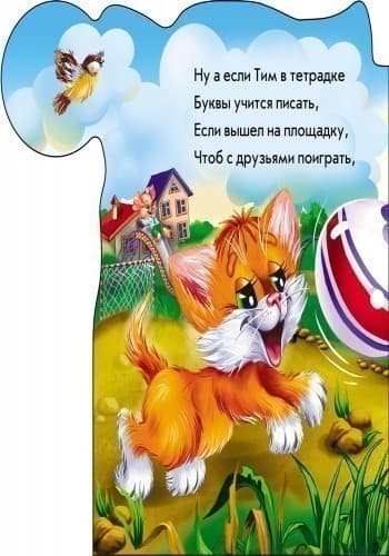 Утро, день, вечер, ночь, фото - 2