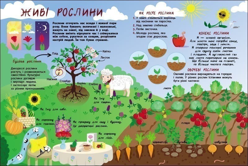 Таємне життя рослин, фото - 2