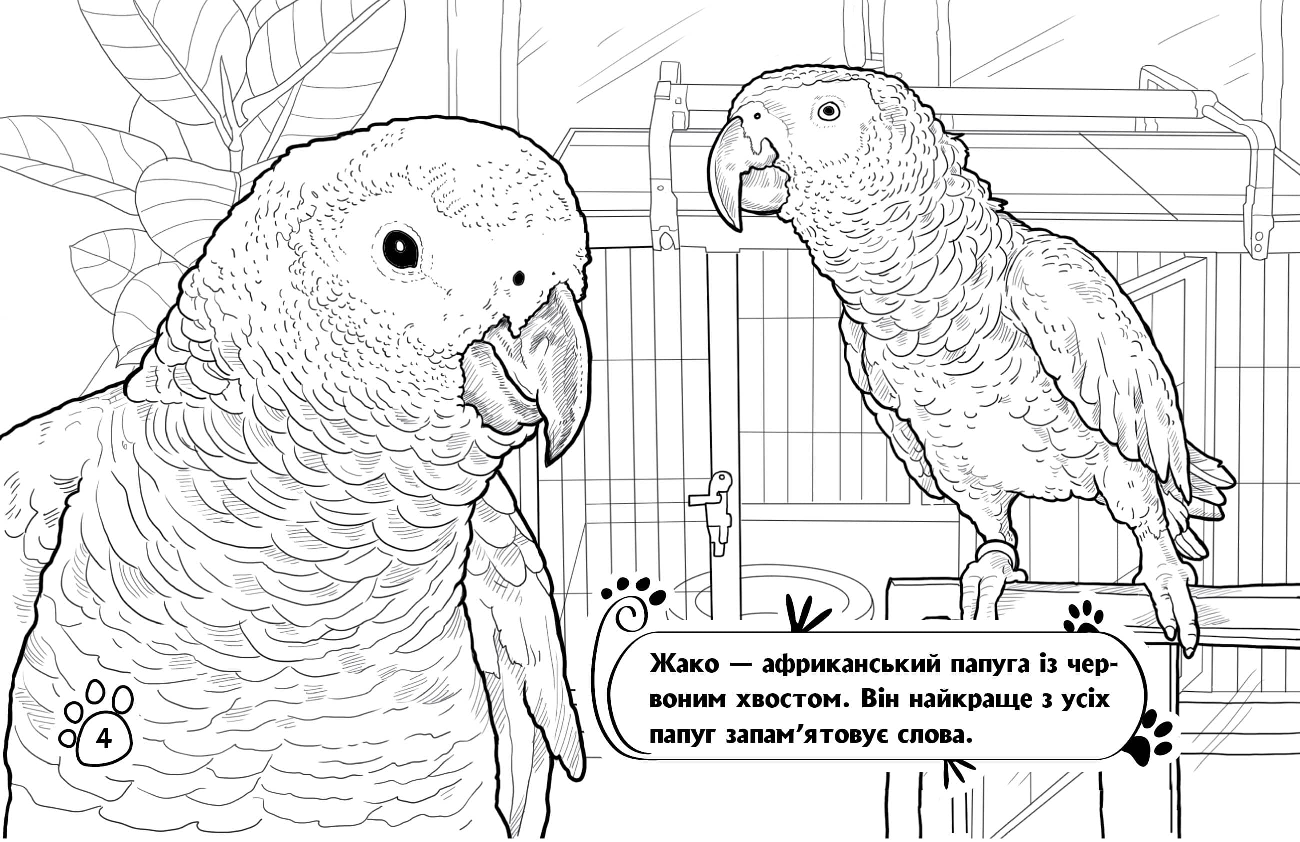 Розмальовка. Тварини в оселі, фото - 3