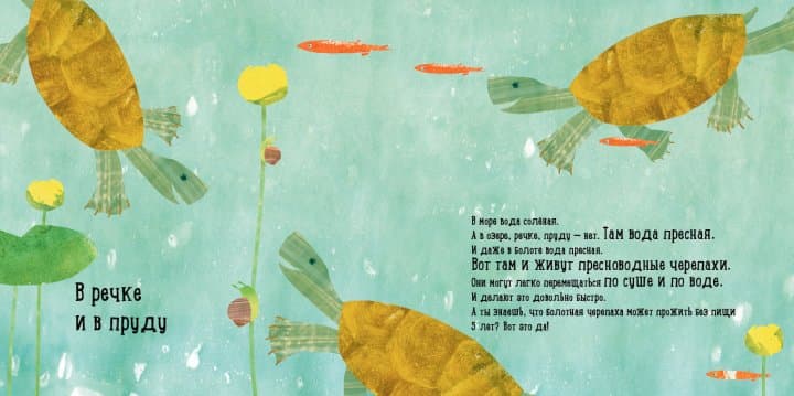 Куда девалась черепаха?, фото - 3