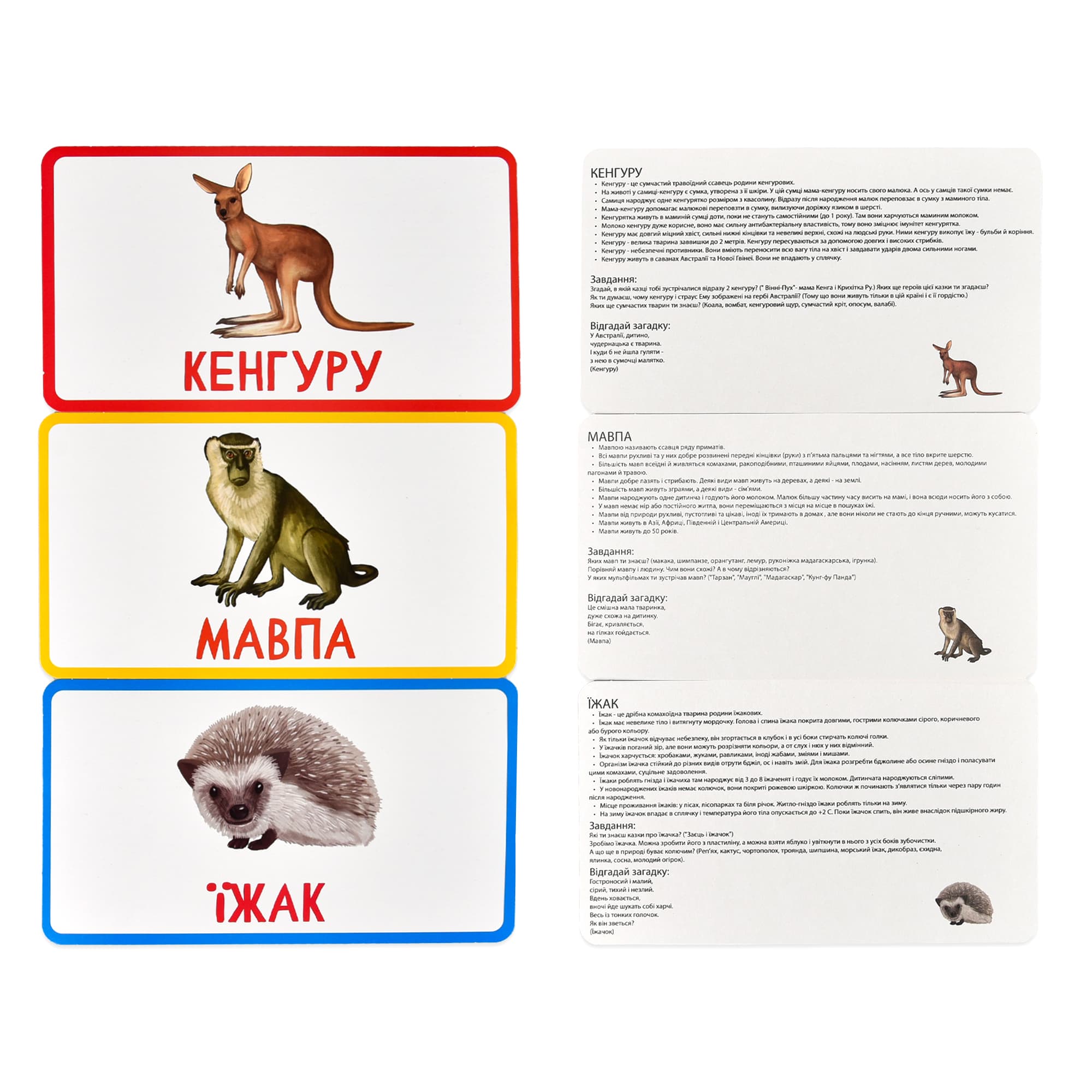 Настільна гра "Вивчай світ. Тварини", фото - 3