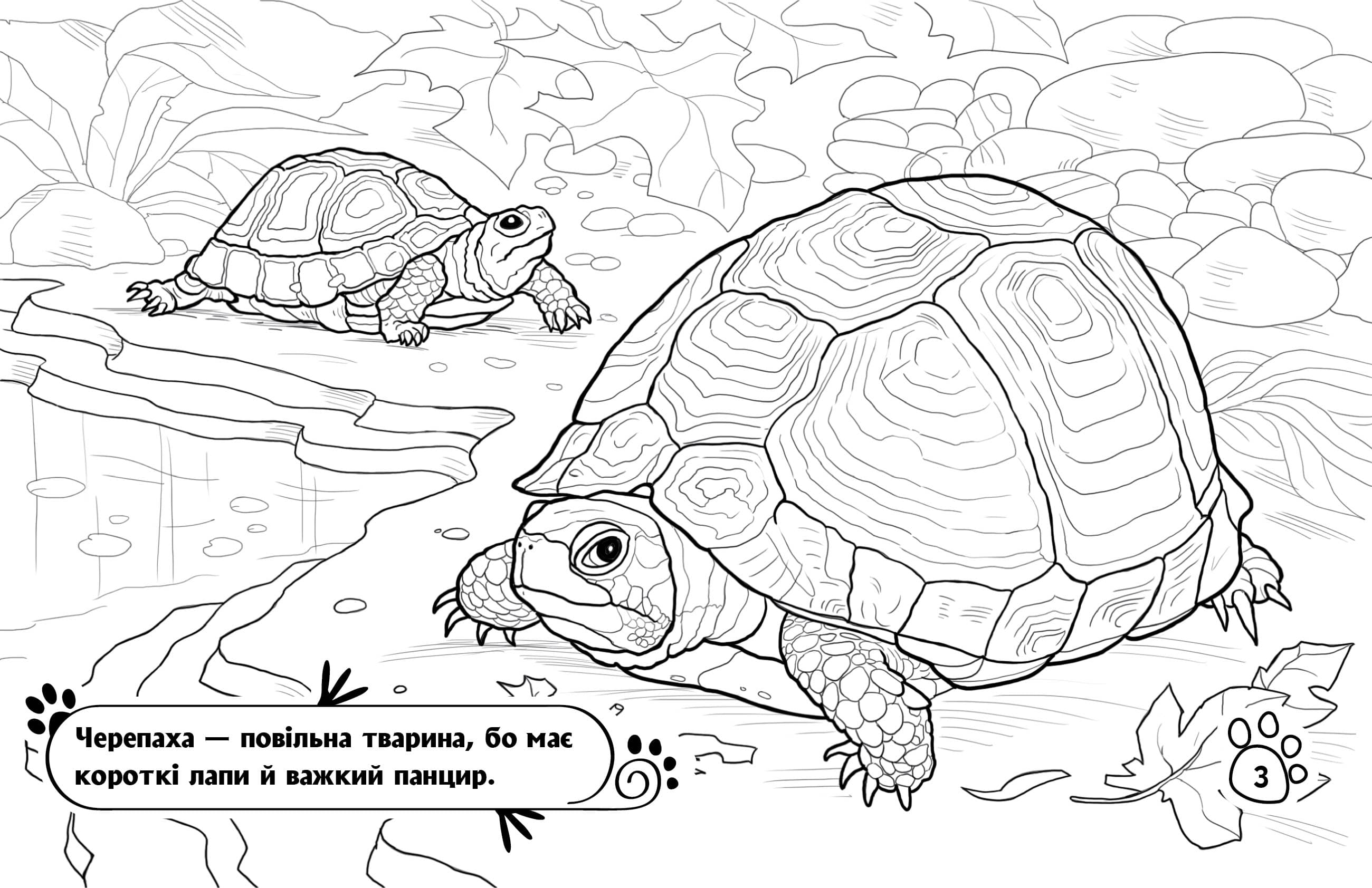 Розмальовка. Тварини в оселі, фото - 2