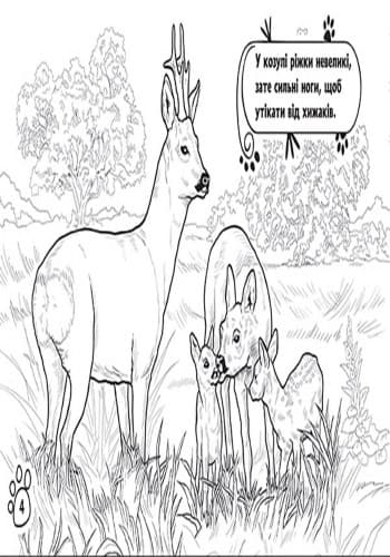 У лісі, фото - 2