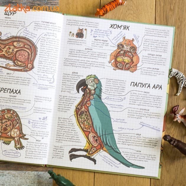 Тварини. Як це працює? (мінімальний брак), фото - 3