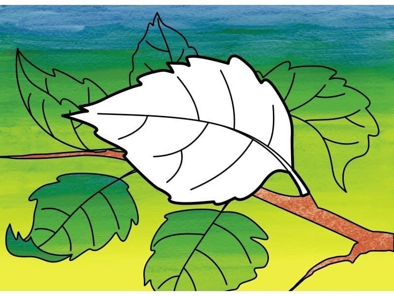 Кольори-друзі, фото - 2