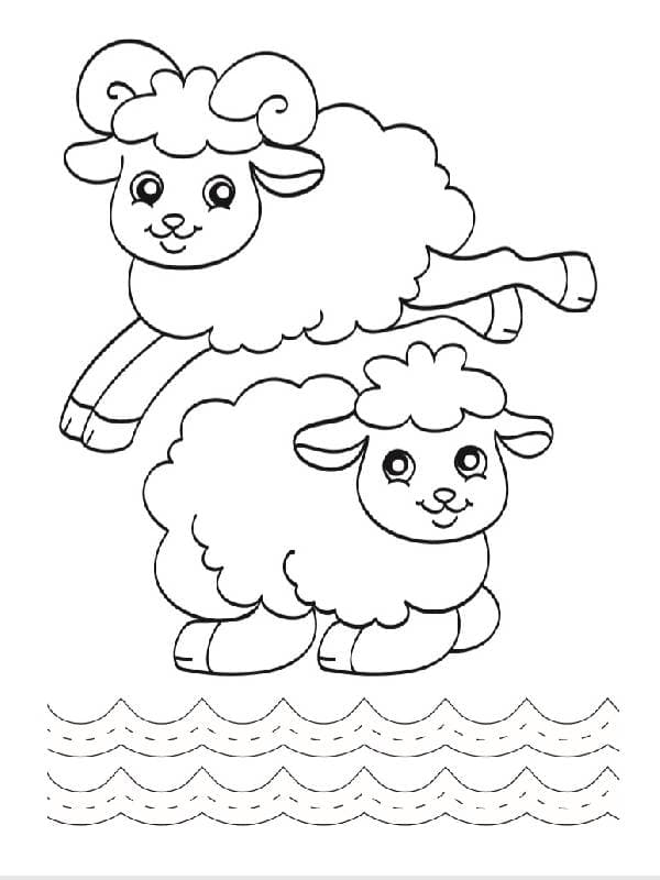 Овечка і компанія, фото - 2