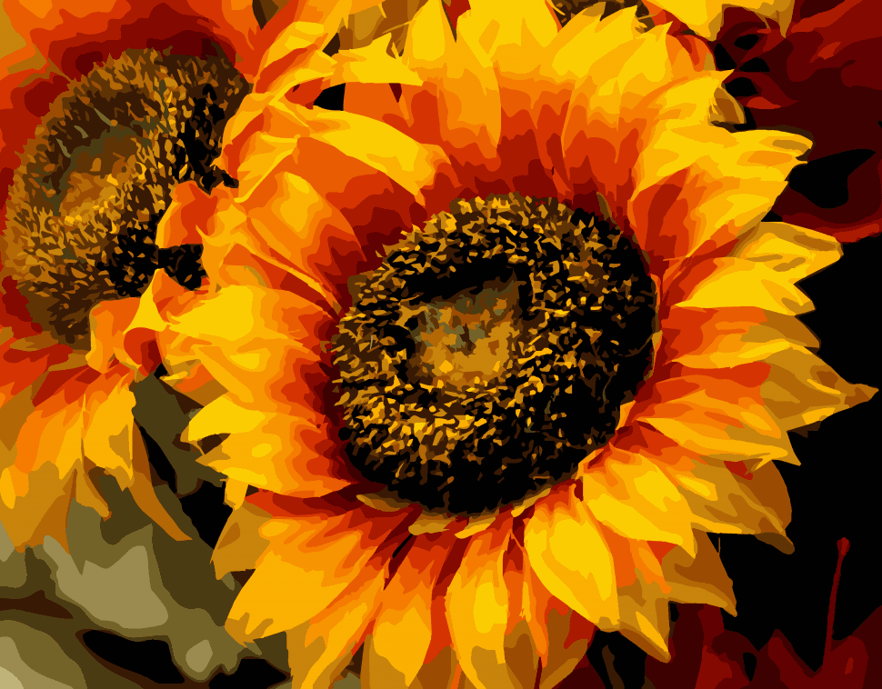 Набір для розпису &amp;quot;Шпигун сонця&amp;quot; 40*50 см, фото - 1