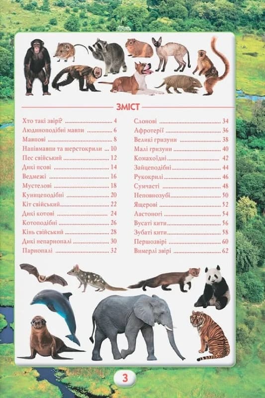 Ви маєте це знати. Світ звірів, фото - 2