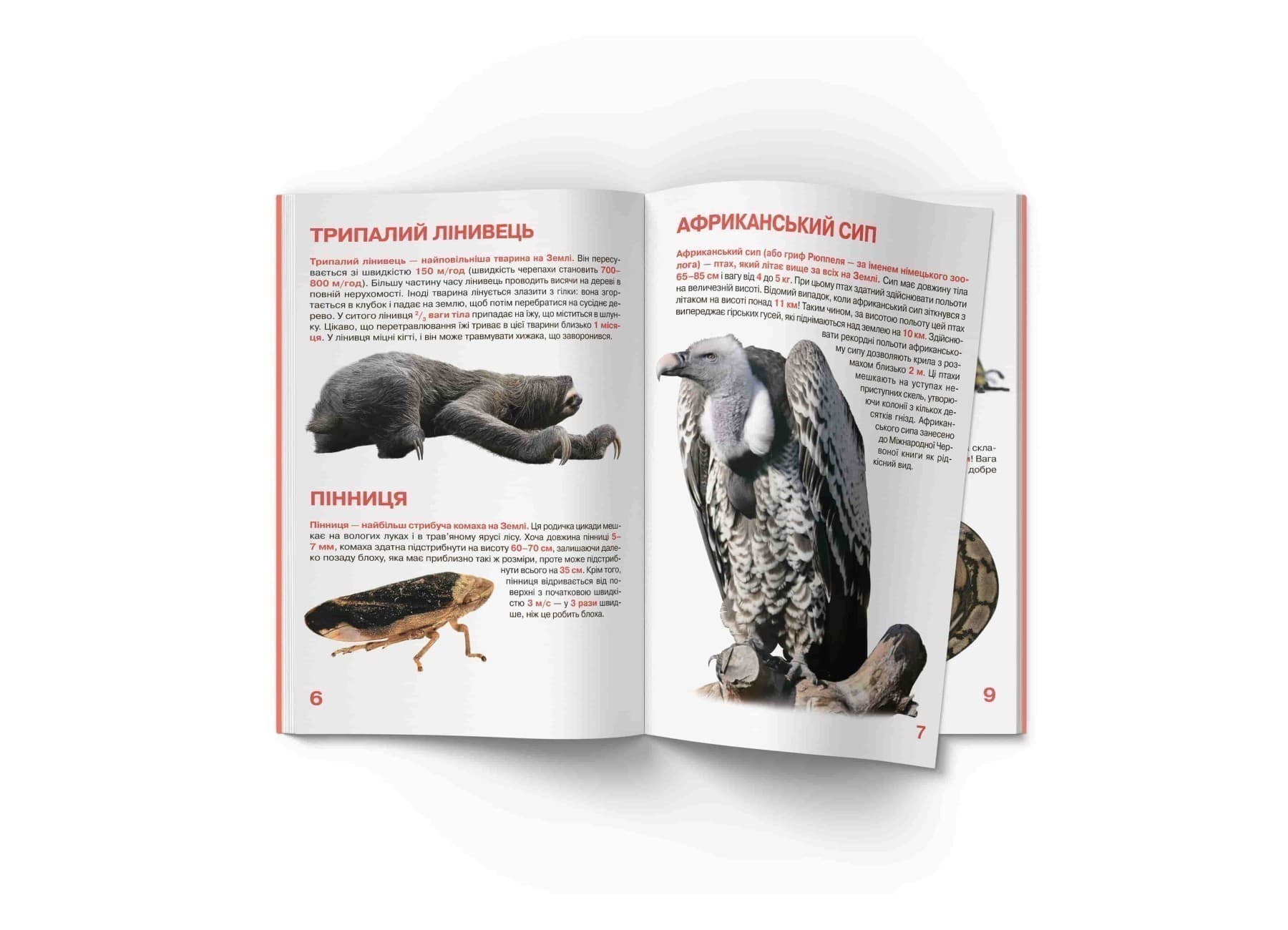 Велика книжка. Рекорди тваринного світу, фото - 3