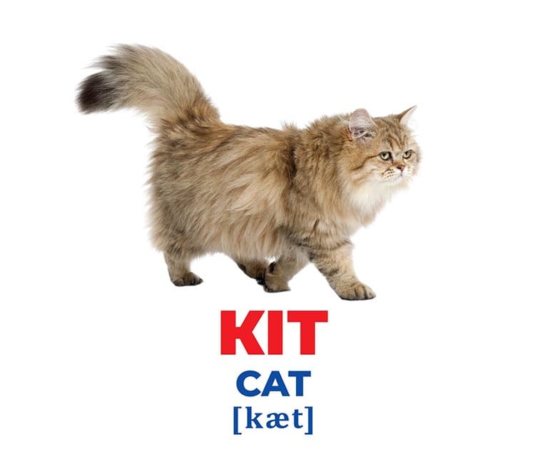 Геній з пелюшок.Свійські тварини, фото - 3