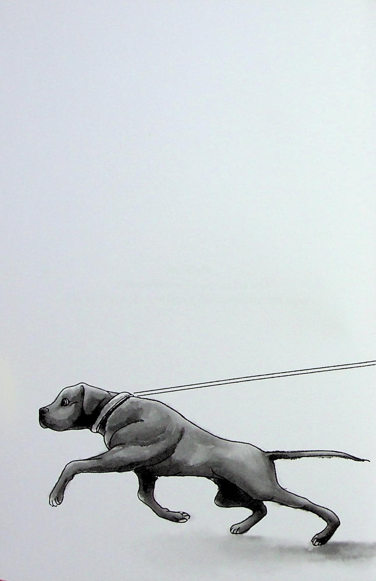 Хантер і Купер, фото - 3