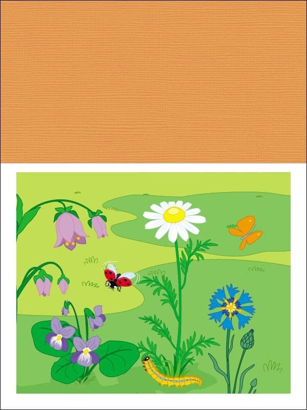 Аплікації. Рівень 4. Вирізання кругів, овалів, фото - 3