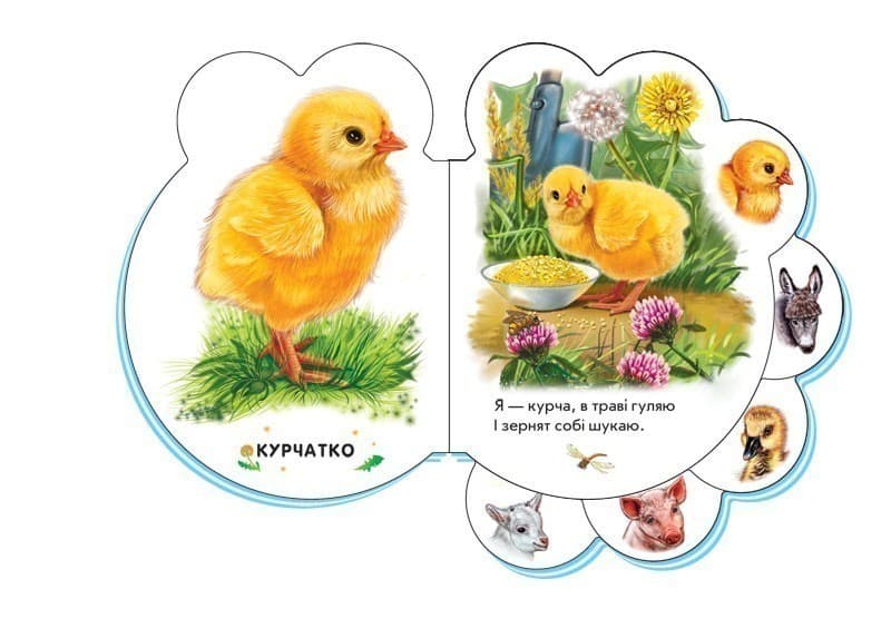 На подвір&#39;ї, фото - 3