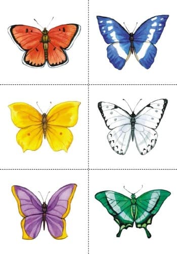 Вивчаємо математику. Комплекс практичних матеріалів. (Стар. вік), фото - 3