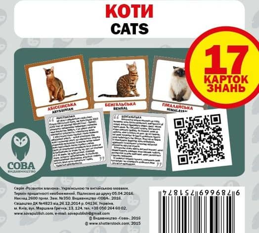 Посібник "Коти набір" Посібник "Коти набір"