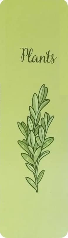 Закладка двухстороння для книги «Plants» Закладка двухстороння для книги «Plants»