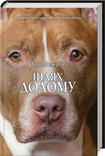 Шлях додому