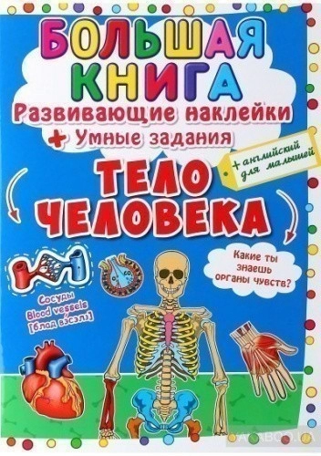 Большая книга. Развивающие наклейки. Умные задания. Тело человека"