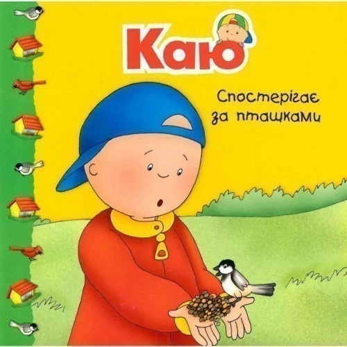 Каю спостерігає за пташками. Мої історії
