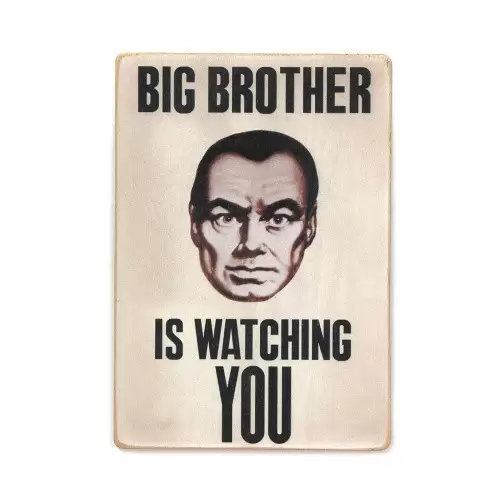 Постер 'Big brother is watching you'