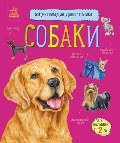 Собаки